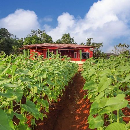 Bed and Breakfast Aarya Farm Bhom Exteriér fotografie